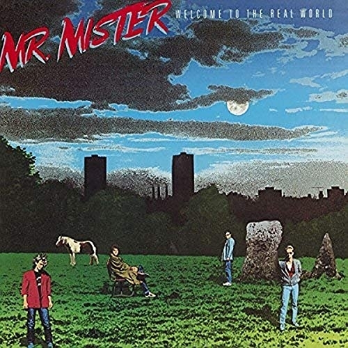 【送料無料】 CD/Mr.ミスター/ウェルカム・トゥ・ザ・リアル・ワールド (解説付) (期間生産限定盤)/SICP-4913