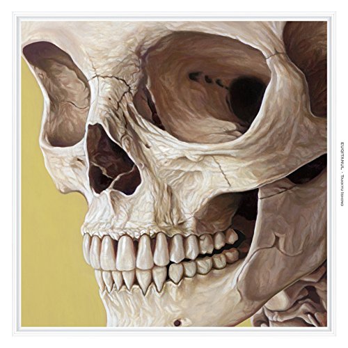 【送料無料】 CD/石野卓球/EUQITANUL/KSCL-2821