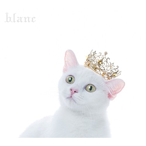 【送料無料】 CD/Aimer/BEST SELECTION ”blanc” (CD+Blu-ray) (初回生産限定盤A)/SECL-2139
