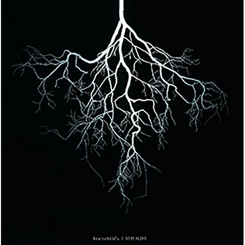 【送料無料】 CD/brainchild's/STAY ALIVE (通常盤)/BVCL-874