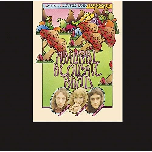 【送料無料】 CD/ナチュラル・アコースティック・バンド/小川のように (解説歌詞対訳付)/SICP-5768