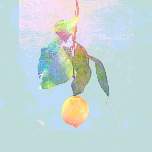 送料無料】 CD/米津玄師/Lemon (通常盤)/SRCL-9749: サプライズWEB ANA