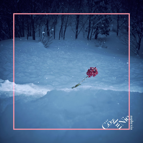 【送料無料】 CD/Co shu Nie/asphyxia (通常盤)/AICL-3513