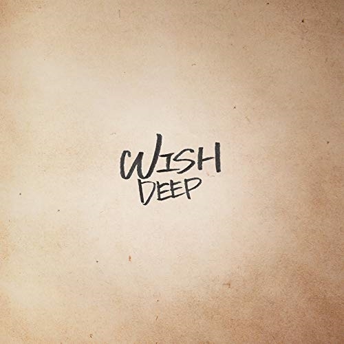 【送料無料】 CD/DEEP/WISH (通常盤)/AICL-3618