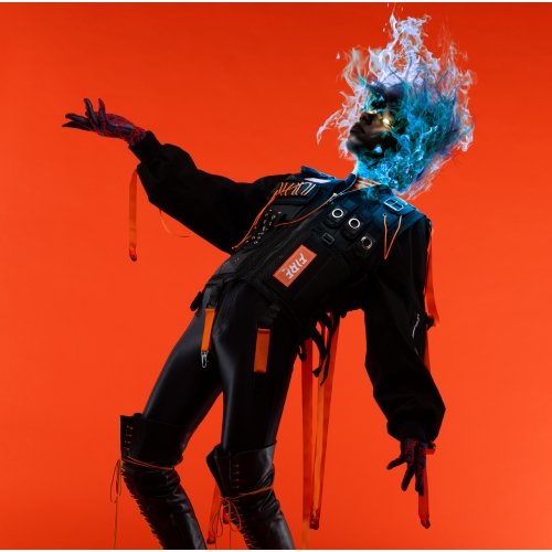 【送料無料】 CD/女王蜂/火炎 (通常盤)/AICL-3656