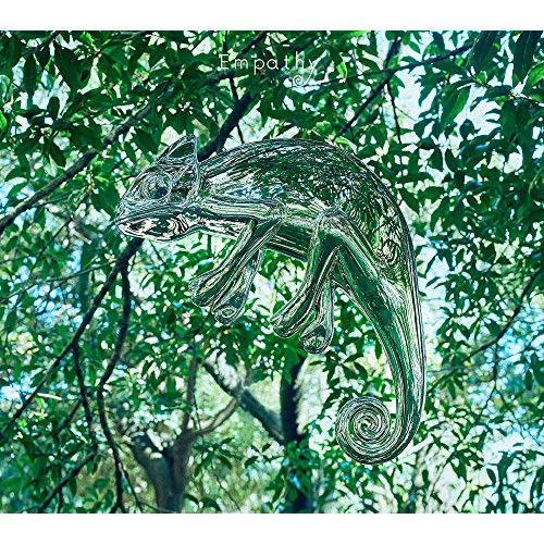 【送料無料】 CD/wacci/Empathy (CD+DVD) (初回生産限定盤A)/ESCL-5320
