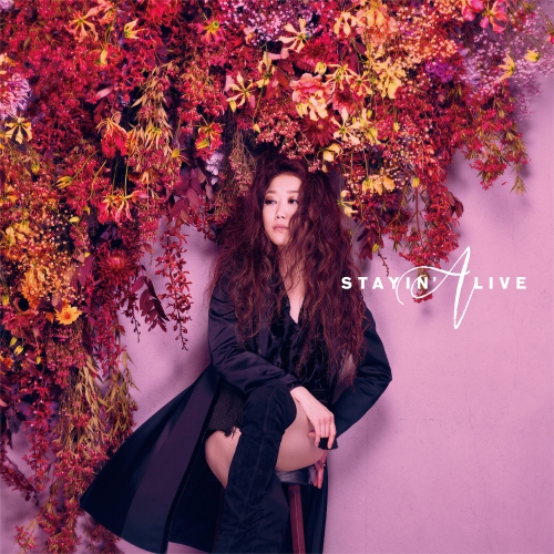 【送料無料】 CD/JUJU/STAYIN' ALIVE/AICL-3822