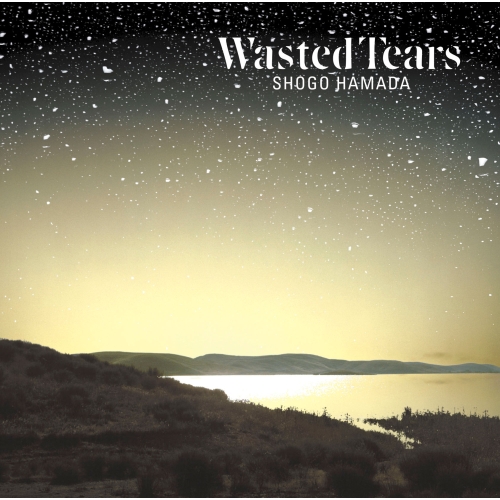 CD / 浜田省吾 / WASTED TEARS / SECL-3016
