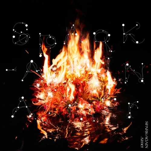 【送料無料】 CD/Aimer/SPARK-AGAIN (通常盤)/SECL-2607