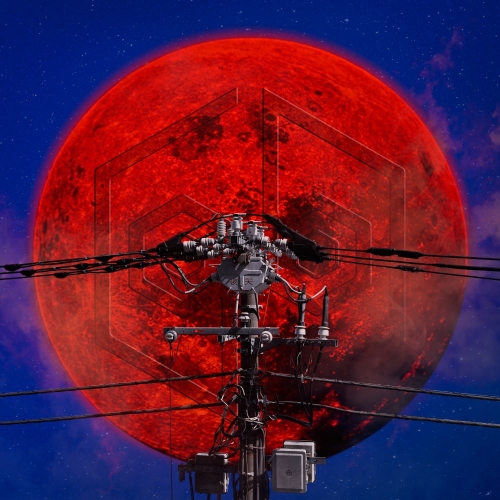 CD / 女王蜂 / 夜天 (CD+Blu-ray) (完全生産限定盤) / AICL-4003