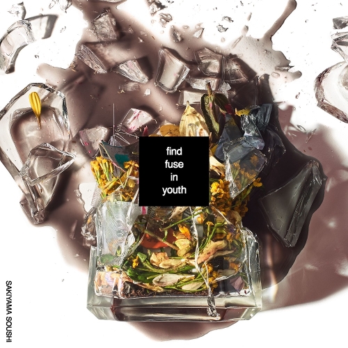 CD / 崎山蒼志 / find fuse in youth (CD+DVD) (紙ジャケット) (初回生産限定盤) / SRCL-11653