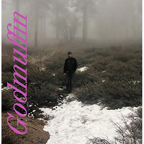 CD / マイク・ヴァイオラ / ゴッドマフィン (解説歌詞対訳付/ライナーノーツ) / SICX-163