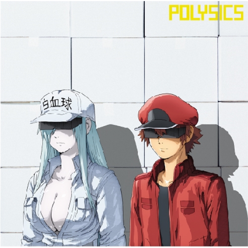 CD / POLYSICS / 走れ!with ヤマサキセイヤ(キュウソネコカミ) (CD+DVD) (初回生産限定盤) / KSCL-3288