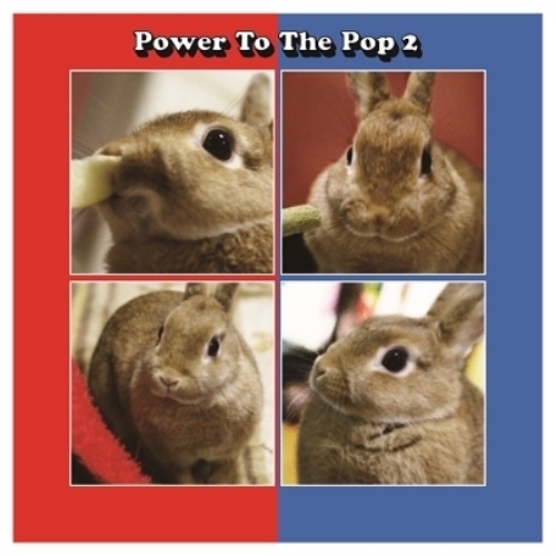 CD / オムニバス / Power To The Pop 2 (Blu-specCD2) (解説歌詞対訳付/ライナーノーツ) / SICP-31472
