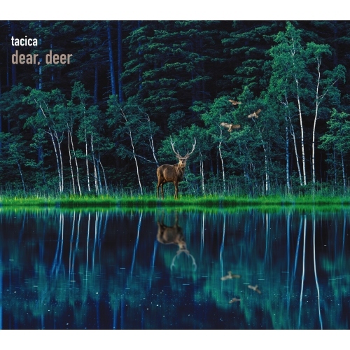 CD / tacica / BEST ALBUM dear, deer (CD+DVD) (初回生産限定盤B) / SECL-2735