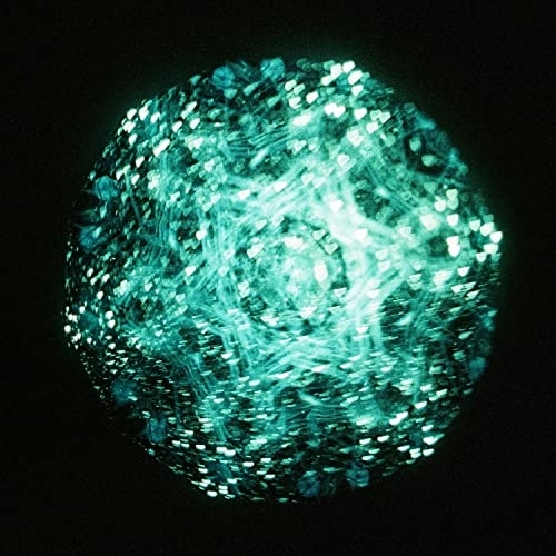 CD / リーガルリリー / Cとし生けるもの (CD+Blu-ray) (初回生産限定盤) / KSCL-3343