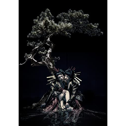 BD / the GazettE / the GazettE LIVE TOUR 12-13(DIVISION) FINAL MELT LIVE AT 03.10 SAITAMA SUPER ARENA(Blu-ray) / SRXL-326