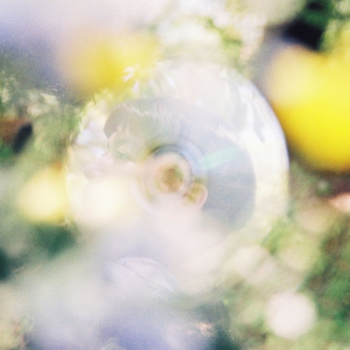 CD / センチミリメンタル / 光の中から伝えたいこと/東京特許許可局 (CD+Blu-ray) (通常盤) / ESCL-5681