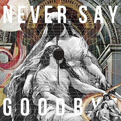【送料無料】 CD/ALI/NEVER SAY GOODBYE (通常盤)/SRCL-12279