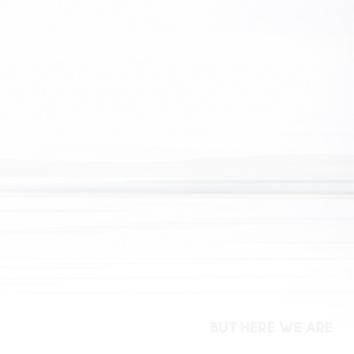 CD / フー・ファイターズ / バット・ヒア・ウィ・アー (解説歌詞対訳付/紙ジャケット) / SICP-6519