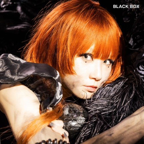 CD / Reol / BLACK BOX (通常盤) / SECL-2926