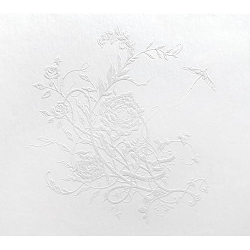 CD / Aimer / 白色蜉蝣 (CD+Blu-ray) (初回生産限定盤) / VVCL-2395