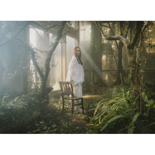 CD / 安田レイ / Ray of Light (CD+Blu-ray) (初回生産限定盤) / VVCL-2413