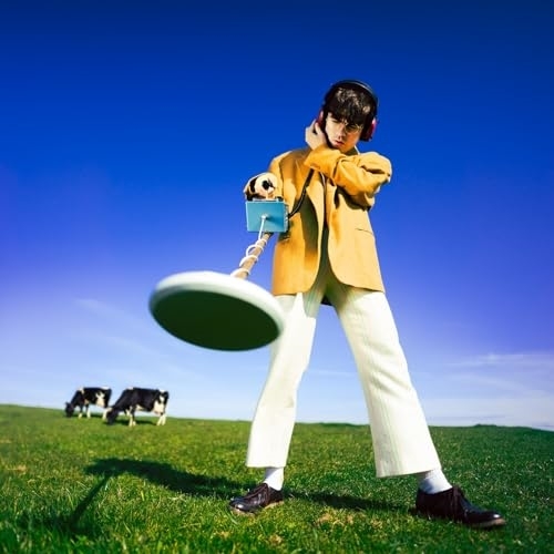 CD / デクラン・マッケンナ / ホワット・ハプンド・トゥ・ザ・ビーチ? (解説歌詞対訳付) / SICX-196