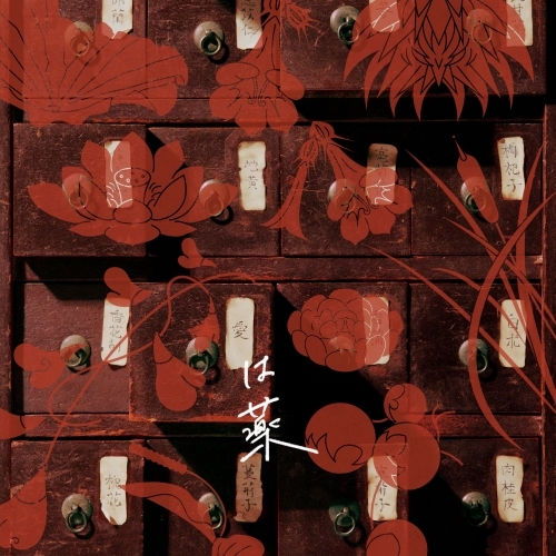 CD / wacci / 愛は薬 (CD+Blu-ray) (初回生産限定盤) / ESCL-5920