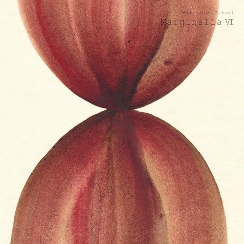 LP(30cm) / 高木正勝 / マージナリアVI (完全生産限定盤) / SIJP-1150