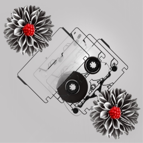 CD / ヒトリエ / NOTOK (完全生産限定盤) / AICL-4634