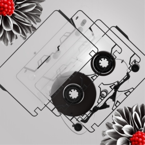 CD / ヒトリエ / NOTOK (通常盤) / AICL-4636