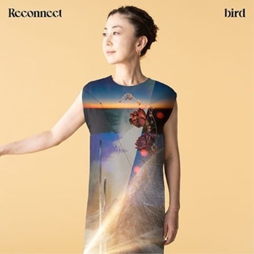 LP(30cm) / bird / Reconnect (完全生産限定盤) / MHJL-415