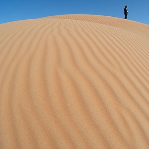 CD / 立花ハジメ / hajimeht (Blu-specCD2) (通常盤) / MHCL-31037