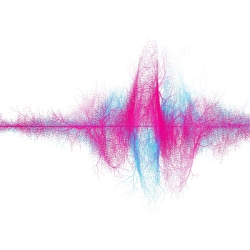 LP(30cm) / SUPER BEAVER / 音楽 (180g重量盤) (完全生産限定盤) / SRJL-1135