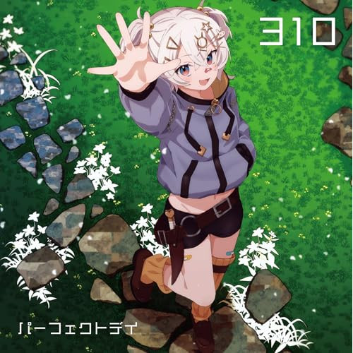 CD / 310 / パーフェクトデイ (CD+Blu-ray) (通常盤) / VVCL-2640