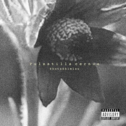 CD / 清水翔太 / Pulsatilla cernua (通常盤) / SRCL-13332