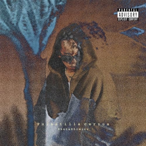 CD / 清水翔太 / Pulsatilla cernua (CD+Blu-ray) (完全生産限定盤) / SRCL-13330