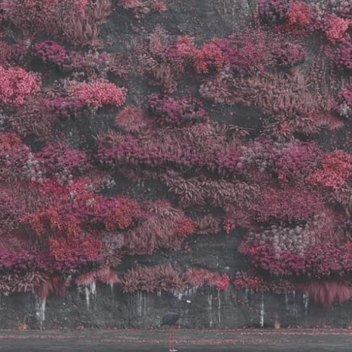 CD / スリープ・トークン / イーヴン・イン・アーケイディア (解説付) / SICP-6703