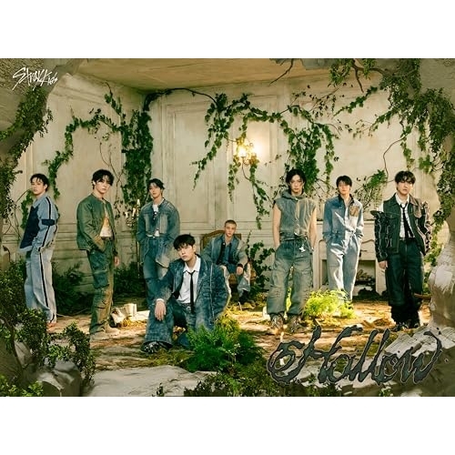 CD / Stray Kids / Hollow (CD+Blu-ray) (初回生産限定盤A) / ESCL-6103