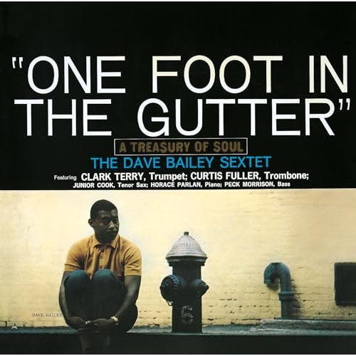 LP(30cm) / デイヴ・ベイリー / ワン・フット・イン・ザ・ガター (解説付/ライナーノーツ/180グラム重量盤) (完全生産限定盤) / SIJP-1165