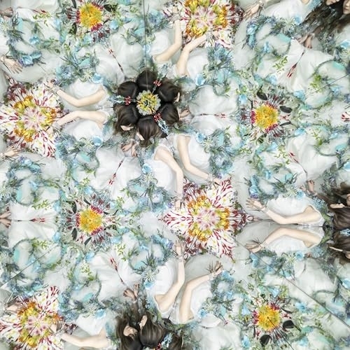 CD / Aimer / 太陽が昇らない世界 (通常盤) / VVCL-2750