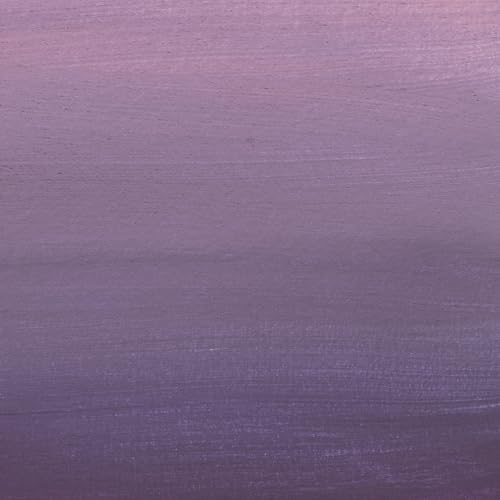 CD / 離婚伝説 / 離婚伝説 (通常盤) / BVCL-1495