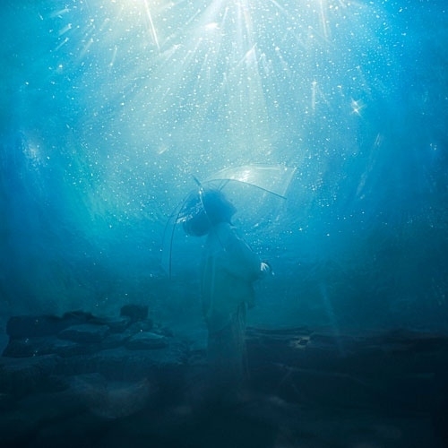 CD / Aqua Timez / 海いっぱいに降りしきる星 (通常盤) / ESCL-6150