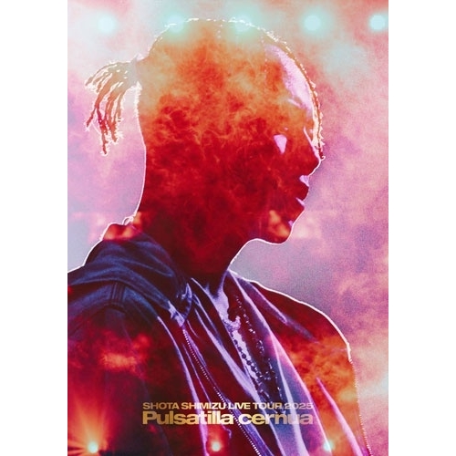 DVD / 清水翔太 / SHOTA SHIMIZU LIVE TOUR 2025 'Pulsatilla cernua' / SRBL-2434