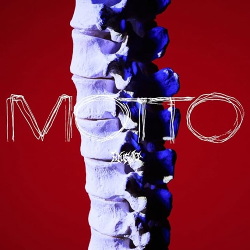 【送料無料】 CD/龍宮城/MOTTO (通常盤)/AICL-4925