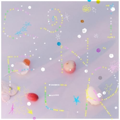 【送料無料】 CD/リーガルリリー/コニファー (CD+Blu-ray) (LIVEブックレット) (初回生産限定盤)/kscl-3665