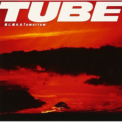【送料無料】 CD/TUBE/風に揺れるTomorrow/AICL-1384