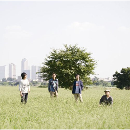 【送料無料】 CD/フラワーカンパニーズ/この胸の中だけ (通常盤)/AICL-1973