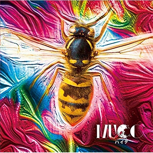 【送料無料】 CD/ムック/ハイデ (通常盤)/AICL-3124